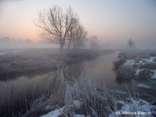  Grafika #3: 2018 - The Element - Earth grafika