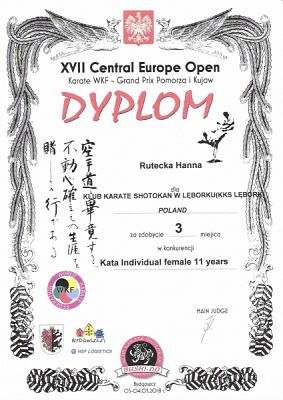  Grafika #1: SUKCESY SPORTOWE KARATEKÓW grafika