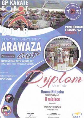  Grafika #6: SUKCESY SPORTOWE KARATEKÓW grafika