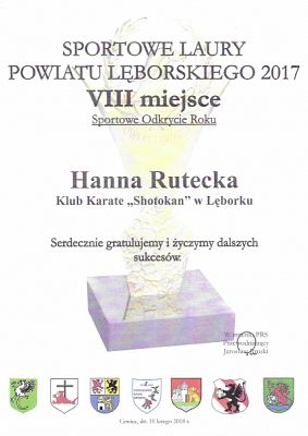  Grafika #8: SUKCESY SPORTOWE KARATEKÓW grafika