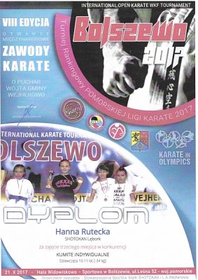  Grafika #9: SUKCESY SPORTOWE KARATEKÓW grafika