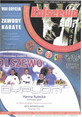  Grafika #10: SUKCESY SPORTOWE KARATEKÓW grafika