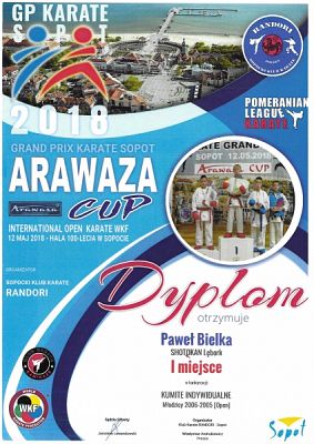  Grafika #11: SUKCESY SPORTOWE KARATEKÓW grafika