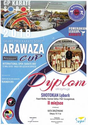  Grafika #12: SUKCESY SPORTOWE KARATEKÓW grafika