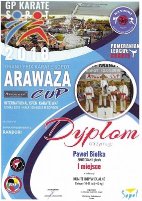  Grafika #13: SUKCESY SPORTOWE KARATEKÓW grafika