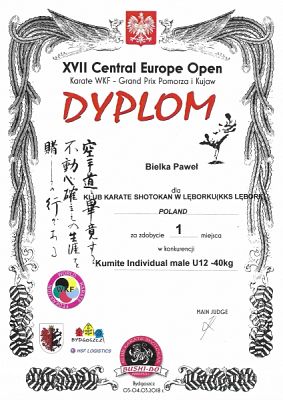  Grafika #14: SUKCESY SPORTOWE KARATEKÓW grafika