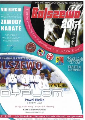  Grafika #17: SUKCESY SPORTOWE KARATEKÓW grafika