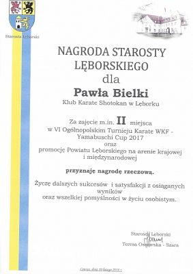  Grafika #18: SUKCESY SPORTOWE KARATEKÓW grafika