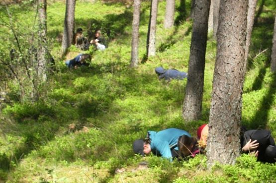  Grafika #0: ZIELONA SZKOŁA grafika