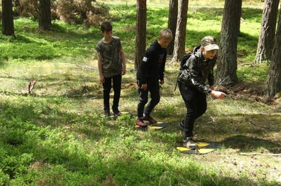  Grafika #9: ZIELONA SZKOŁA grafika