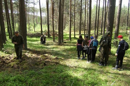  Grafika #10: ZIELONA SZKOŁA grafika