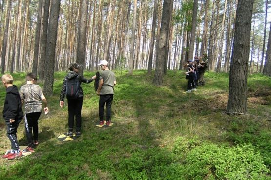  Grafika #11: ZIELONA SZKOŁA grafika