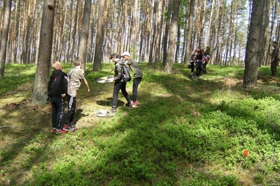  Grafika #13: ZIELONA SZKOŁA grafika