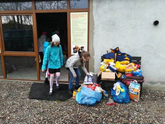  Grafika #2: Dary dla schroniska grafika