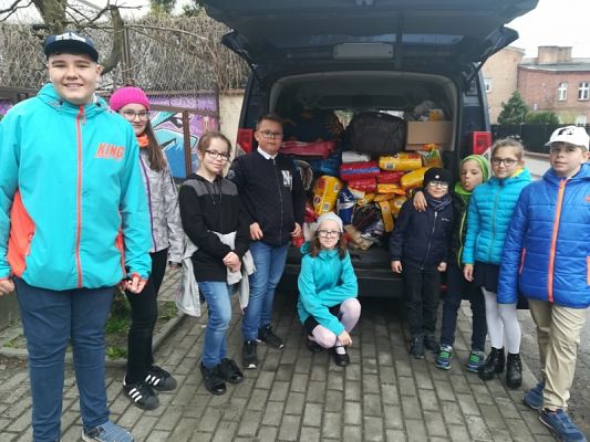  Grafika #1: Dary dla schroniska grafika