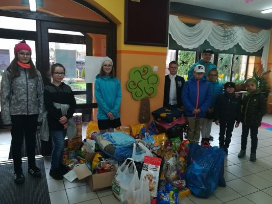  Grafika #0: Dary dla schroniska grafika