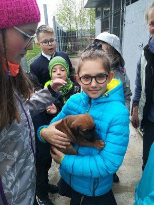  Grafika #5: Dary dla schroniska grafika