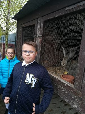  Grafika #7: Dary dla schroniska grafika