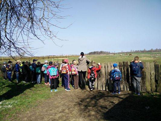  Grafika #2: WYCIECZKA KASZUBSKA KLAS I –III DO SWOŁOWA grafika