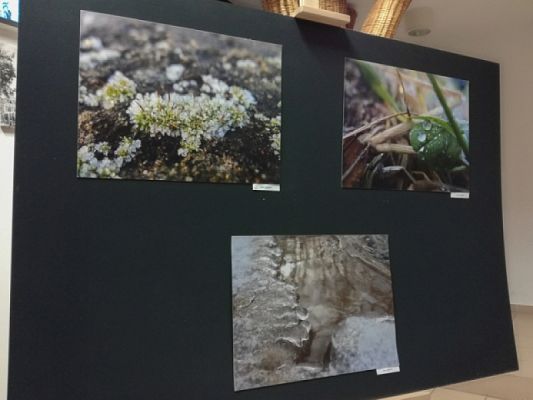  Grafika #0: ZWYCIĘSKI "OBIEKTYW" grafika