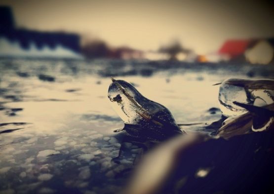  Grafika #1: ZWYCIĘSKI "OBIEKTYW" grafika