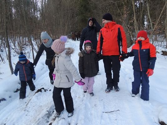  Grafika #2: ,,Pędzi, pędzi kulig niczym błyskawica… grafika