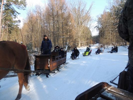  Grafika #4: ,,Pędzi, pędzi kulig niczym błyskawica… grafika