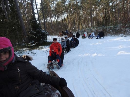  Grafika #5: ,,Pędzi, pędzi kulig niczym błyskawica… grafika