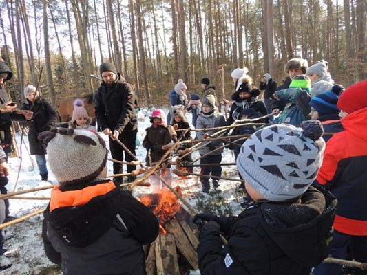  Grafika #9: ,,Pędzi, pędzi kulig niczym błyskawica… grafika