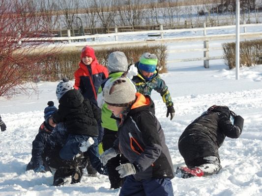  Grafika #12: ,,Pędzi, pędzi kulig niczym błyskawica… grafika