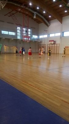  Grafika #0: LĘBORSKA MIĘDZYSZKOLNA LIGA KOSZYKÓWKI grafika