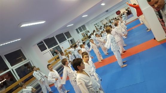  Grafika #1: BIAŁY PAS grafika