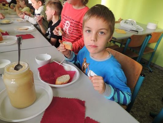  Grafika #5: DZIEŃ PLUSZOWEGO MISIA grafika