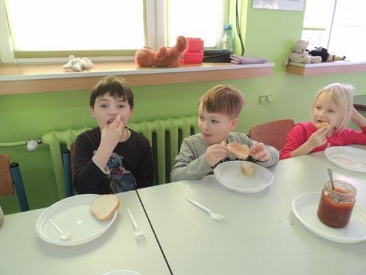  Grafika #6: DZIEŃ PLUSZOWEGO MISIA grafika