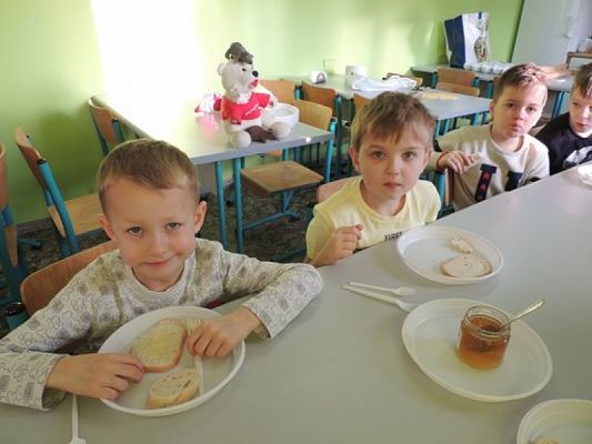  Grafika #9: DZIEŃ PLUSZOWEGO MISIA grafika