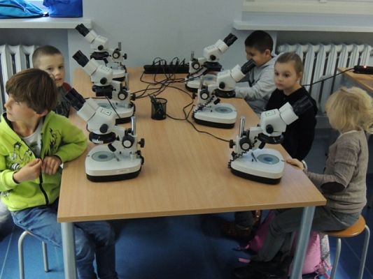  Grafika #0: WYCIECZKA KLASY II DO OCEANARIUM grafika