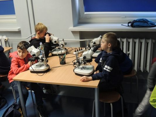  Grafika #1: WYCIECZKA KLASY II DO OCEANARIUM grafika