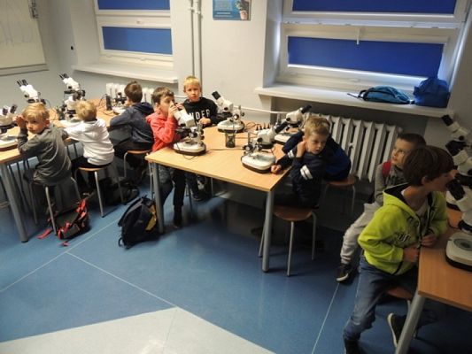  Grafika #5: WYCIECZKA KLASY II DO OCEANARIUM grafika