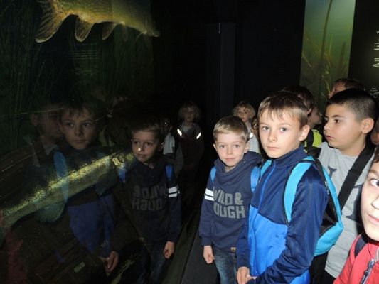  Grafika #6: WYCIECZKA KLASY II DO OCEANARIUM grafika