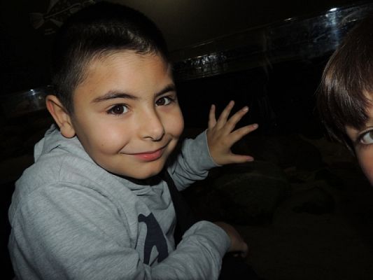  Grafika #8: WYCIECZKA KLASY II DO OCEANARIUM grafika