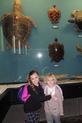  Grafika #9: WYCIECZKA KLASY II DO OCEANARIUM grafika