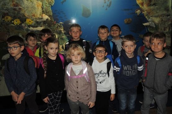  Grafika #10: WYCIECZKA KLASY II DO OCEANARIUM grafika
