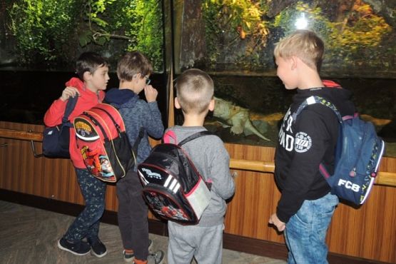  Grafika #12: WYCIECZKA KLASY II DO OCEANARIUM grafika