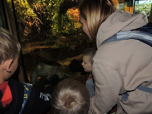  Grafika #14: WYCIECZKA KLASY II DO OCEANARIUM grafika