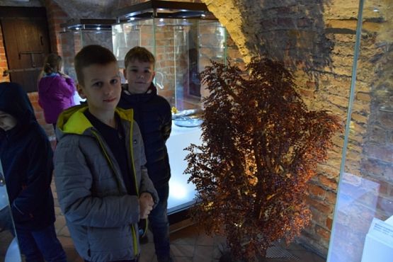  Grafika #0: WYCIECZKA KLAS III DO GDAŃSKA grafika