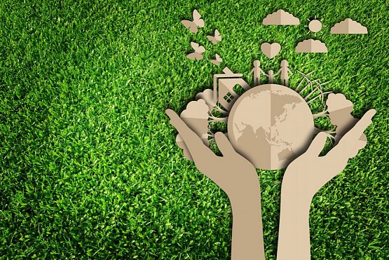 SPRZĄTANIE ŚWIATA 2017 grafika