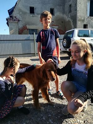 Grafika #1: Pełna miska dla schroniska - podsumowanie akcji grafika