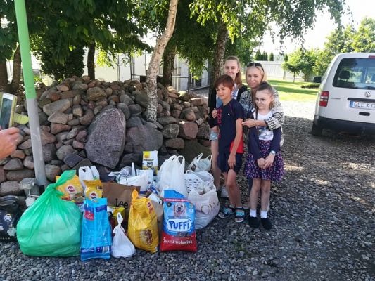 Grafika #2: Pełna miska dla schroniska - podsumowanie akcji grafika