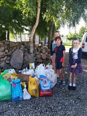 Grafika #3: Pełna miska dla schroniska - podsumowanie akcji grafika