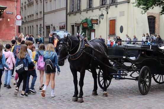 Grafika #10: Wycieczka do Warszawy klasy VA grafika